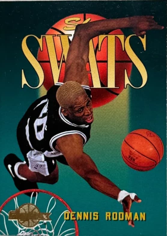1995 Dennis Rodman SkyBox SkyBox 336