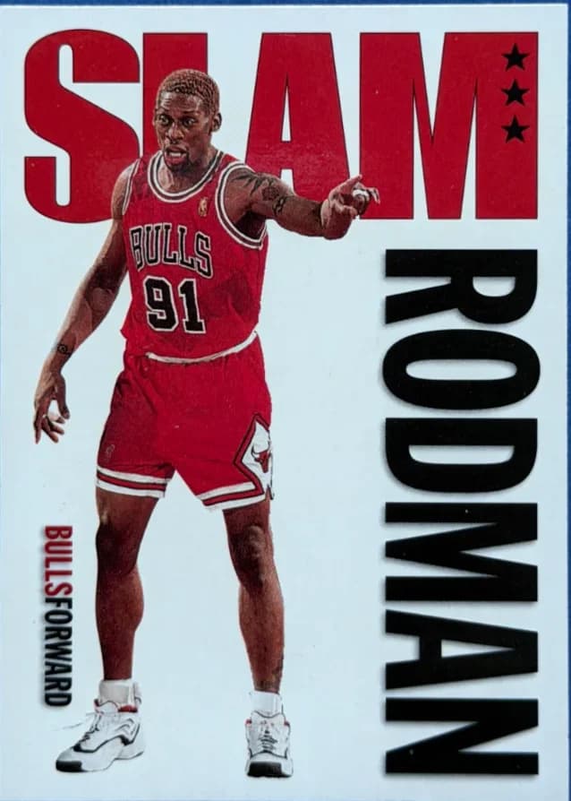 1996-97 Dennis Rodman SkyBox Hoops 326